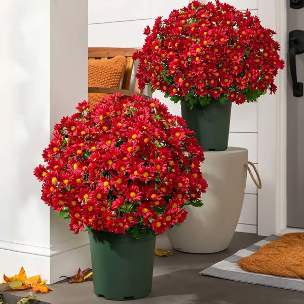 UV Resistant Artificial Sunset Mums Flowers