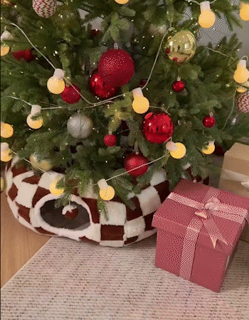 Lesure Cat Tunnel Bed — The Cutest Hideaway Your Kitty Will Ever Love! 🐱💤