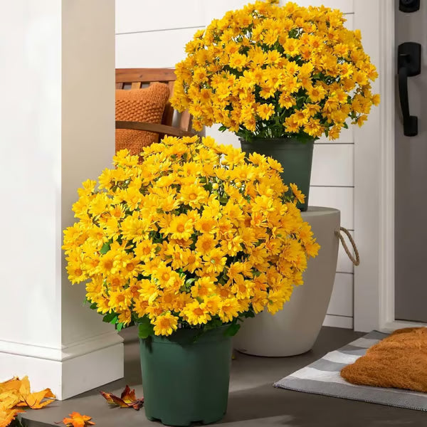 UV Resistant Artificial Sunset Mums Flowers