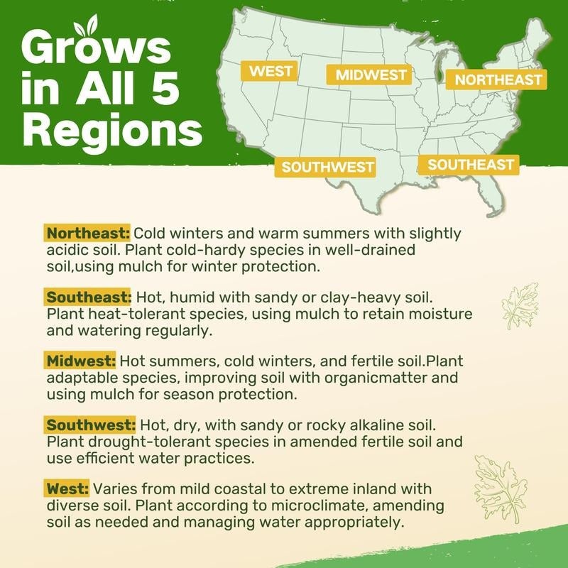 All-in-One Cut Flower Garden Seed Bank- 32 Organic Varieties for All Seasons -