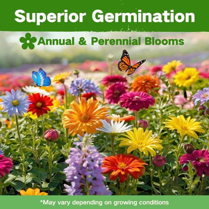 All-in-One Cut Flower Garden Seed Bank- 32 Organic Varieties for All Seasons -