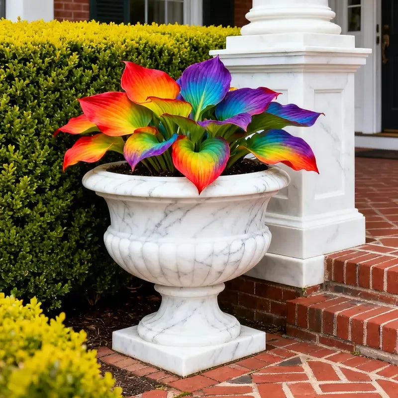 💥2025 Hot Sale 🌌Hosta Seeds Perennial Shade Plant for Garden